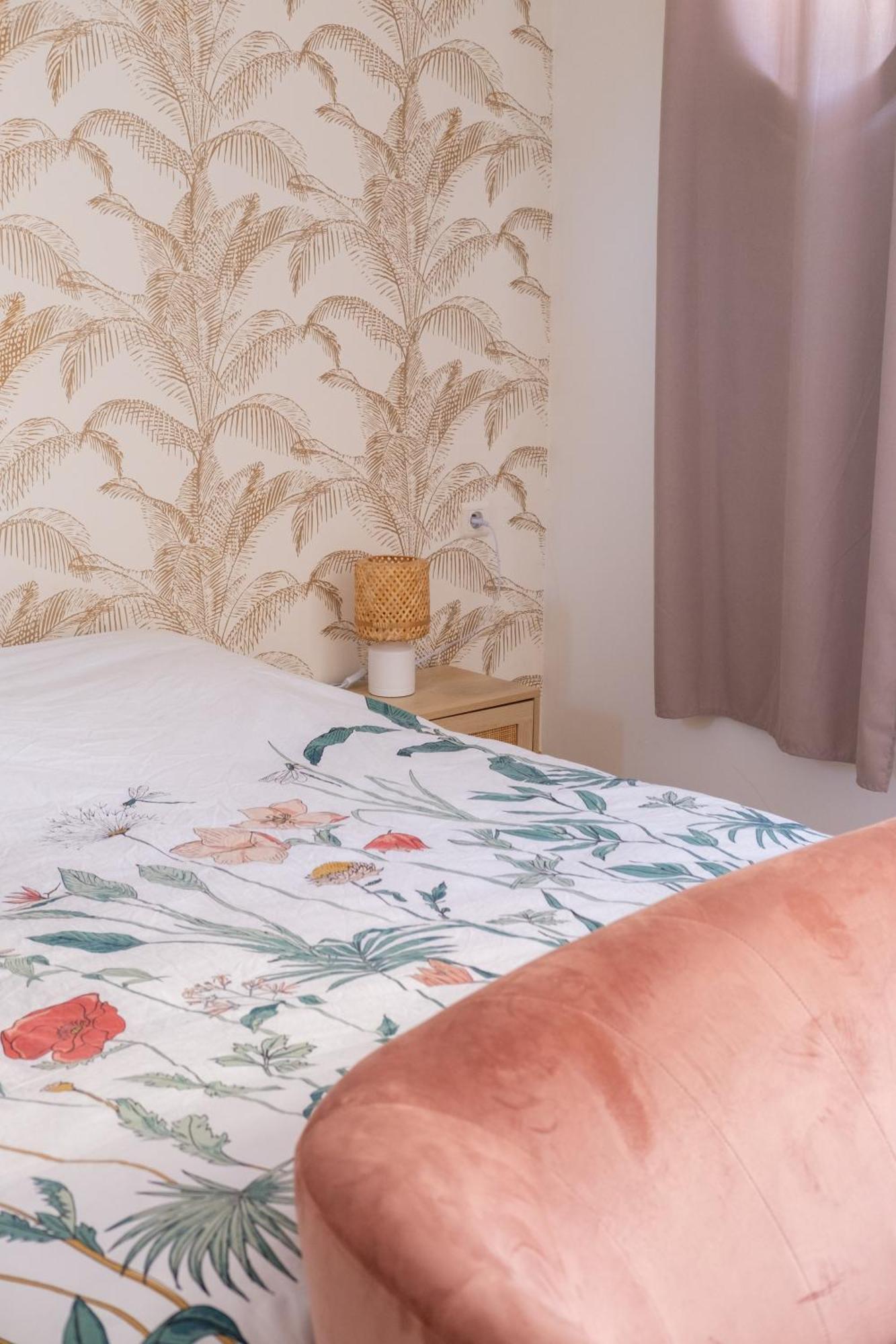 Casa Monica Cargese - Minor Swing - Appartment エクステリア 写真